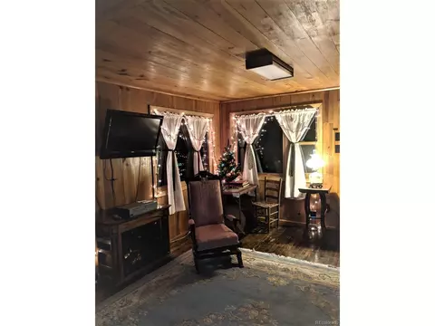 28367 Grove St, Pine, CO 80470 photo 33