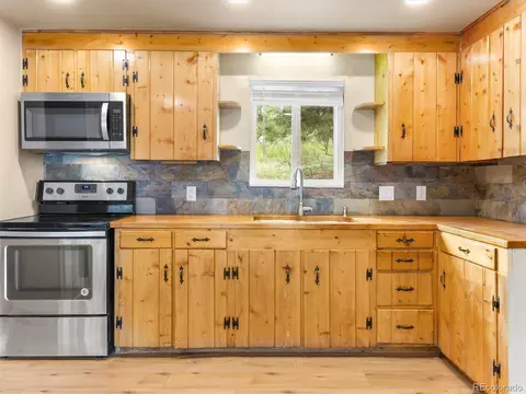2547 County Road 72, Bailey, CO 80421 photo 6