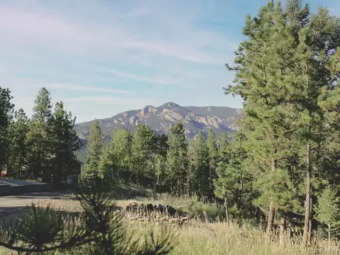 50 Nova Cir, Pine, CO 80470 photo 46