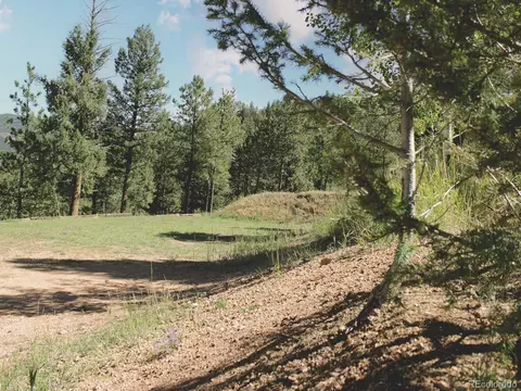 50 Nova Cir, Pine, CO 80470 photo 48
