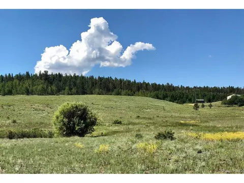 290 Aspen Trl, Hartsel, CO 80449