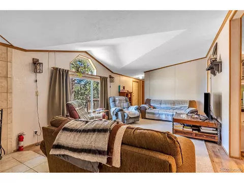 662 12th Trl, Cotopaxi, CO 81223 photo 4