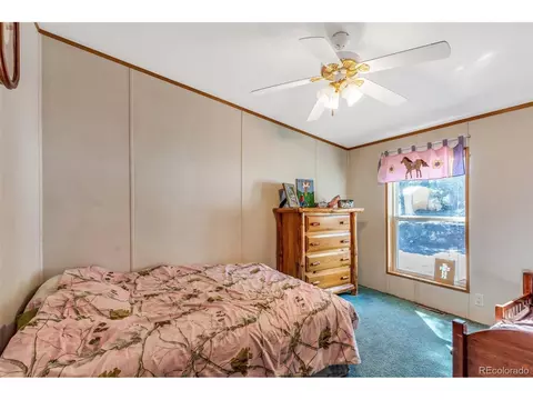 662 12th Trl, Cotopaxi, CO 81223 photo 16