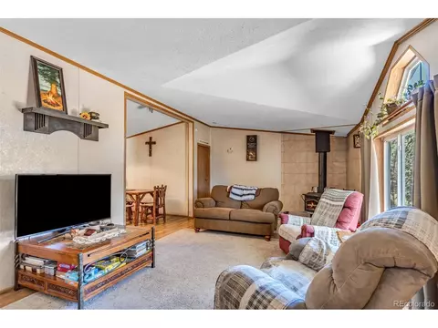 662 12th Trl, Cotopaxi, CO 81223 photo 3