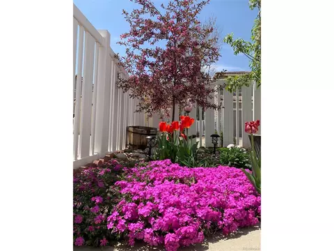 4733 Perth St, Denver, CO 80249 photo 20