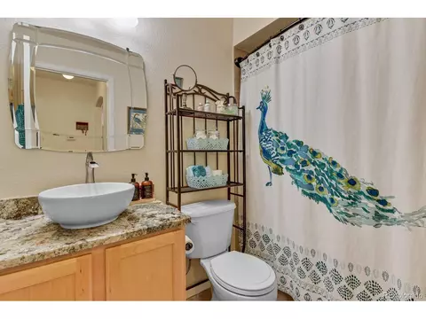 4733 Perth St, Denver, CO 80249 photo 10