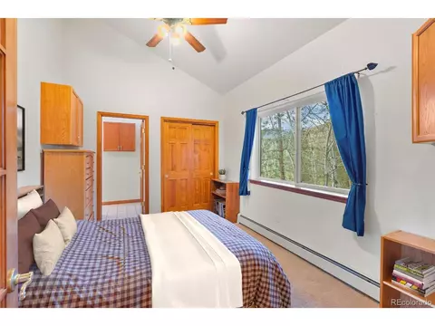 15364 S Swiss Rd, Pine, CO 80470 photo 19