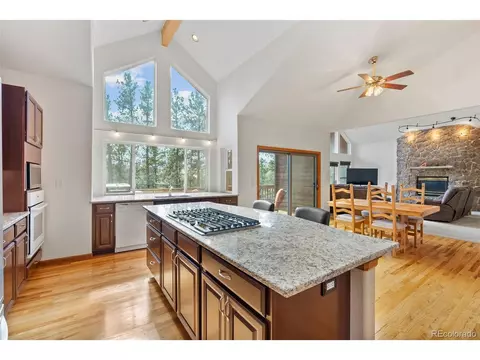 15364 S Swiss Rd, Pine, CO 80470 photo 11