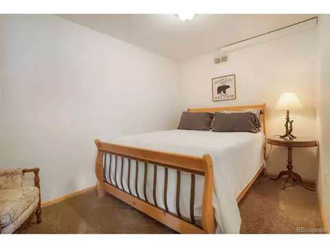 5600 County Road 43, Bailey, CO 80421 photo 19