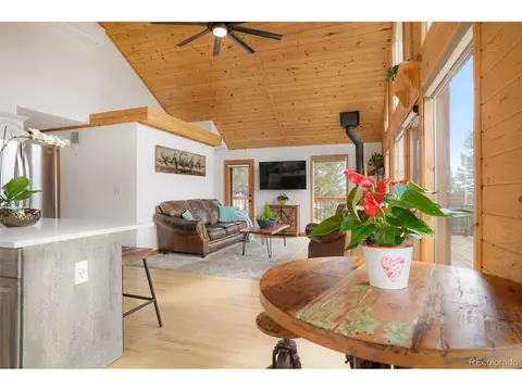 5600 County Road 43, Bailey, CO 80421 photo 9