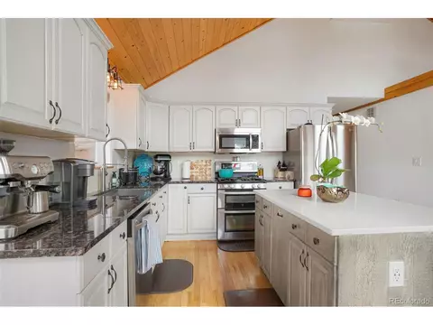 5600 County Road 43, Bailey, CO 80421 photo 6