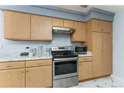 19696 E 50th Ave, Denver, CO 80249 photo 18