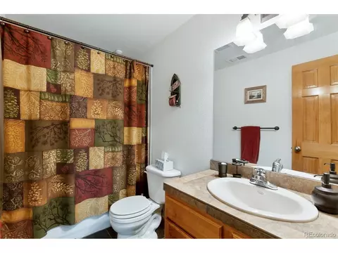 11587 Green Cir, Conifer, CO 80433 photo 18