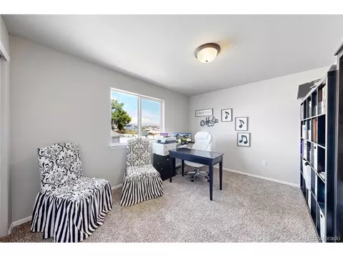 Other - 1002 Maplebrook Dr, Windsor, CO 80550 photo 8 of 11