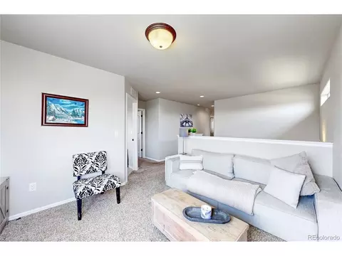Other - 1002 Maplebrook Dr, Windsor, CO 80550 photo 6 of 11