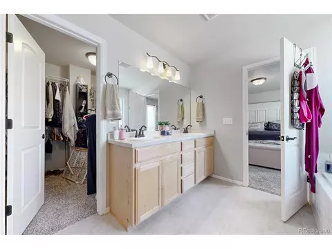 Other - 1002 Maplebrook Dr, Windsor, CO 80550 photo 10 of 11
