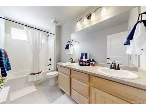 Bath - 1002 Maplebrook Dr, Windsor, CO 80550 photo 2 of 5