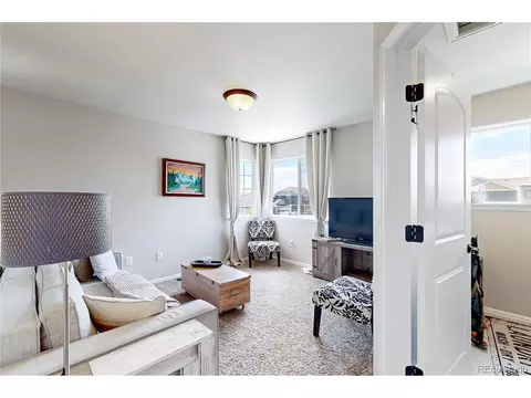 Other - 1002 Maplebrook Dr, Windsor, CO 80550 photo 5 of 11