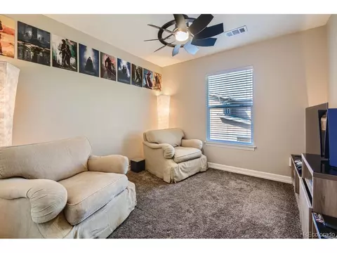 8252 E 29th Pl, Denver, CO 80238 photo 22