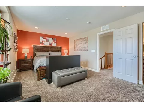 8252 E 29th Pl, Denver, CO 80238 photo 14