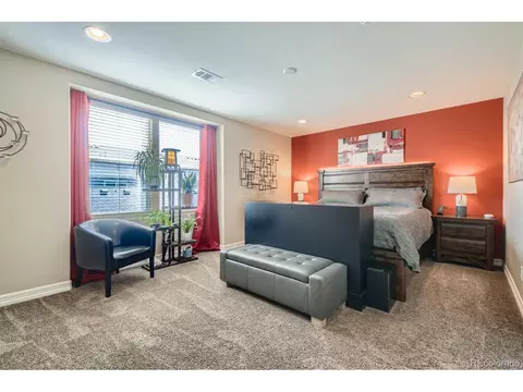 8252 E 29th Pl, Denver, CO 80238 photo 13