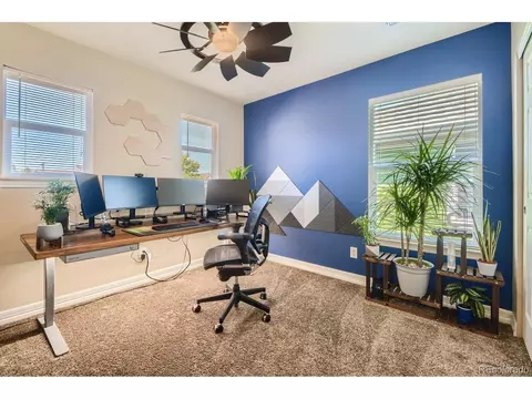 8252 E 29th Pl, Denver, CO 80238 photo 19