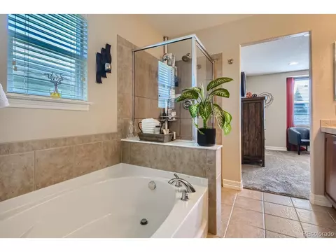 8252 E 29th Pl, Denver, CO 80238 photo 18