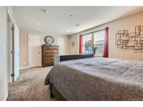 8252 E 29th Pl, Denver, CO 80238 photo 16