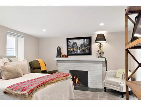 910 Steele St, Denver, CO 80206 photo 26