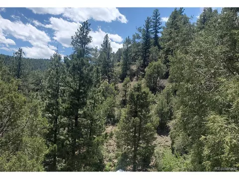 Laughing Valley Ranch Rd, Idaho Springs, CO 80452
