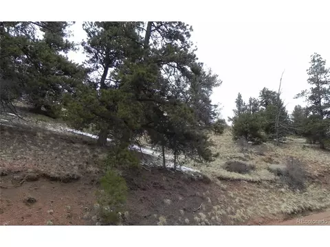 153 Idlewild Dr, Cripple Creek, CO 80813