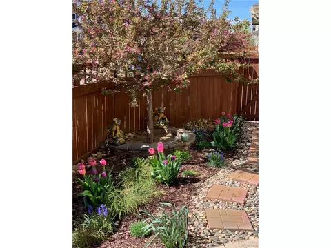 8301 E 33rd Ave, Denver, CO 80238 photo 31