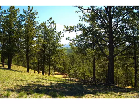 29 Dexter Cir, Cripple Creek, CO 80813