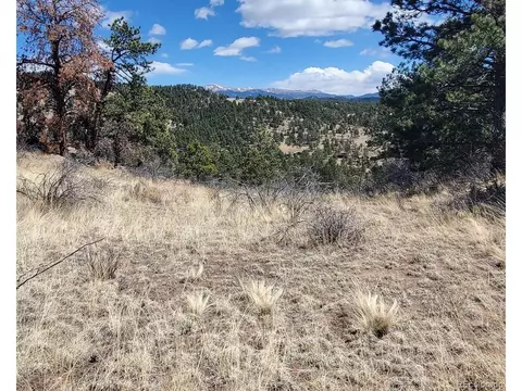 370 Ponderosa Dr, Florissant, CO 80816