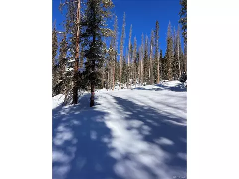 2760 Chicago Mining Claim, St Elmo, CO 81236