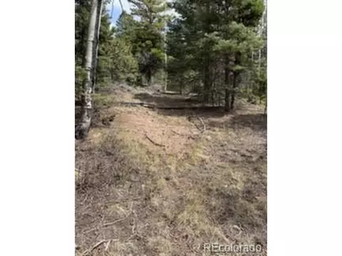 2711 Sleger Rd, Fort Garland, CO 81133
