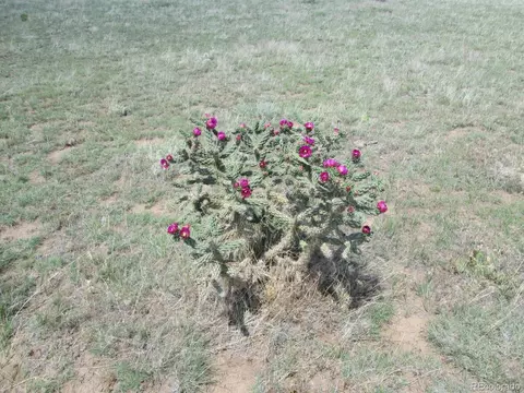 257 Rio Cucharas Phs 1, Walsenburg, CO 81089 photo 10