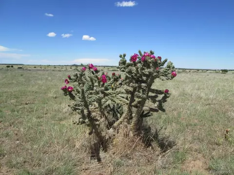 257 Rio Cucharas Phs 1, Walsenburg, CO 81089 photo 9