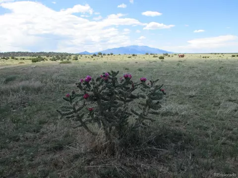 257 Rio Cucharas Phs 1, Walsenburg, CO 81089 photo 11