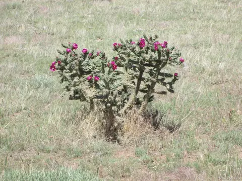 257 Rio Cucharas Phs 1, Walsenburg, CO 81089 photo 8
