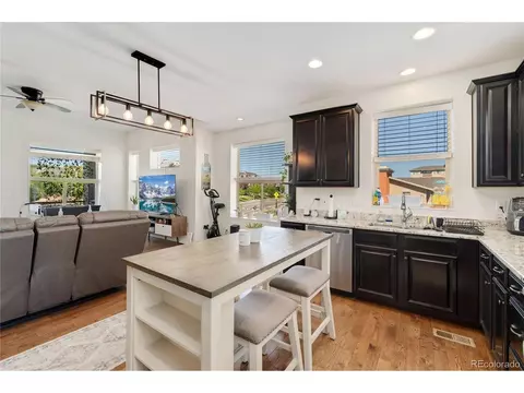 10156 Belvedere Loop, Lone Tree, CO 80124 photo 7