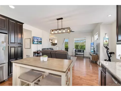 10156 Belvedere Loop, Lone Tree, CO 80124 photo 5