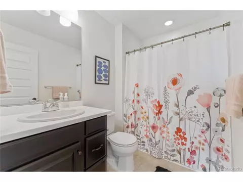 10156 Belvedere Loop, Lone Tree, CO 80124 photo 18