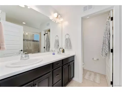 10156 Belvedere Loop, Lone Tree, CO 80124 photo 16