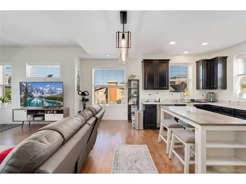10156 Belvedere Loop, Lone Tree, CO 80124 photo 3