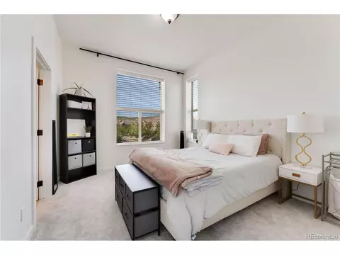 10156 Belvedere Loop, Lone Tree, CO 80124 photo 14