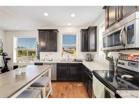 10156 Belvedere Loop, Lone Tree, CO 80124 photo 6