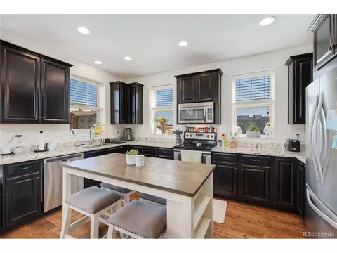 10156 Belvedere Loop, Lone Tree, CO 80124 photo 4