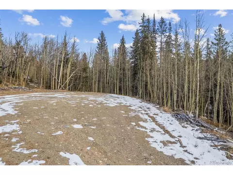 131 Aspen St, Alma, CO 80420