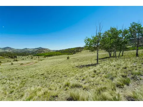 1354 Greta Valley Rd, Guffey, CO 80820